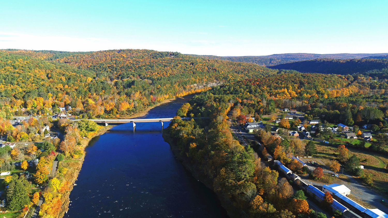This is a view of the Shohola-Barryville bridge, looking downstream in the late afternoon in mid-October. The Shohola, PA side is on the right side of the Delaware River. In this area, there is a variety of trees among the river, including maple, oak, sycamore and locust. Any of the dark green trees are conifers, mostly white pine with some Eastern hemlock.